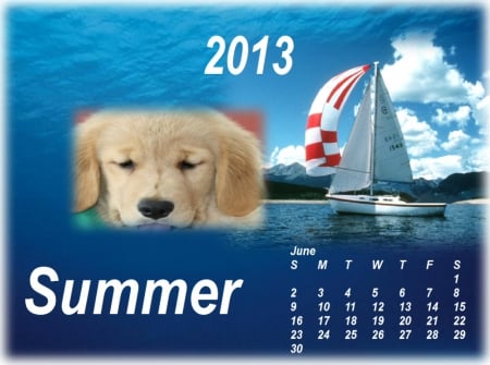 June 2013 - summer, june, fun, puppy, boats