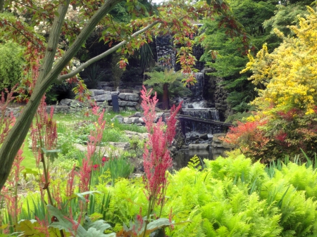 The hidden waterfall - water, green, waterfall, plants