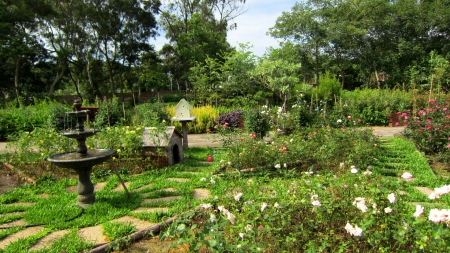 Garden - small fountain, tree, flowers, grass, plants, garden, sunny day