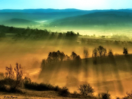 Moody morn - morning, rays, trees, hills, mist