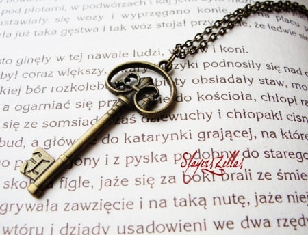 Key Necklace - necklace, abstract, key, book