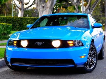 mustang - ford, mustang, car, road