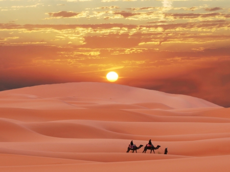 carabana desierto - desierto, camellos, carabana, sun