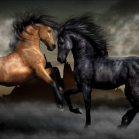 caballos
