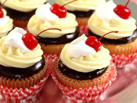 Cupcakes - sweets, cream, cheries, cupcakes, dessert, food, cherry, sweet