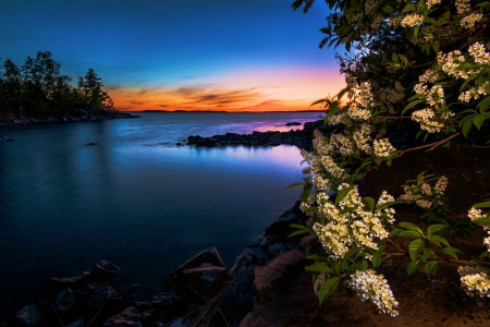 Lake Sunset - trees, blossoms, colorrs, spring, sun, sky