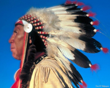 Native American Chieftain - sky, people, native, feathers, american