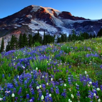 Mount Rainier