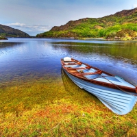 Boat on lakeshore