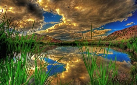 Hidden wonders - reflections, clouds, water, pond, plants