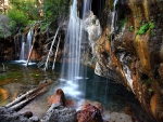 Forest Waterfall