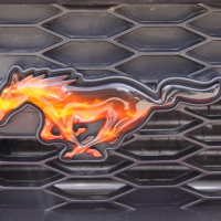 Mustang Logo