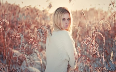 brunette - field, brunette, model, grass