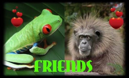 FOR DEAR ROGER,  ''PUPPYDAWG'' - FRIENDS, COLLAGE, MONKEY, FROG