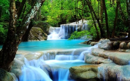 Forest Falls - stone, nature, trees, forest, water, waterfall