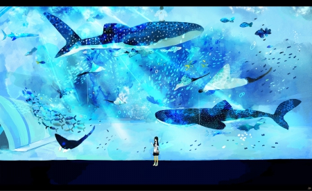 The Aquarium - anime, water, girl, aquarium, fish, whale sharks, animals