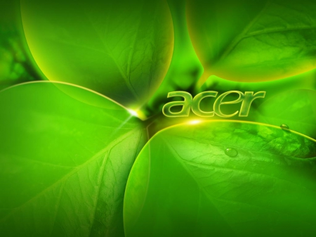 acer leaf theme - leaves, green colour, attractive, light