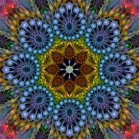 Mandala in my dream