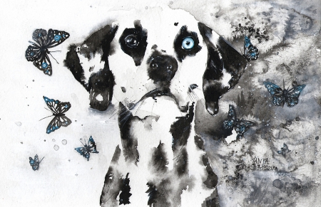 art - black, Tanya Shatseva, white, butterfly, dog, art, animals