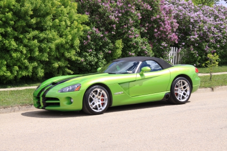 2008 Dodge Viper SRT 10 - photography, dodge, green, flowers, black, garden