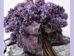 lilacs bouquet