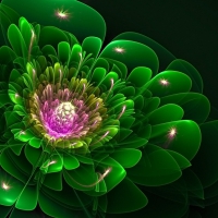 Fractal FLower