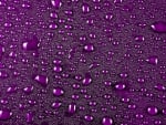 Purple drops