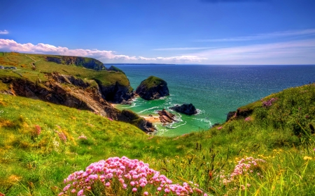 Coastal path in Cornwall - nice, sky, slope, beach, freshness, water, meadow, field, path, coast, spring, rocks, pretty, emerald, cornwall, grass, hills, summer, shore, lovely, waves, beautiful, flowers, sea, horizons