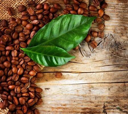 Coffee Beans - beans, leaves, wood, coffee