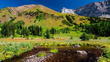 Mountainscape - nice, slope, sky, trees, water, creek, mountainscape, grass, cliffs, stone, lake, mountain, hills, summer, peaks, lovely, nature, beautiful, stones