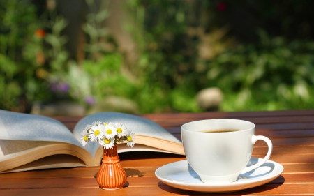 Tea - cum, tea, hdr, book, photo