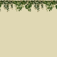 Green Vine Top Border F1