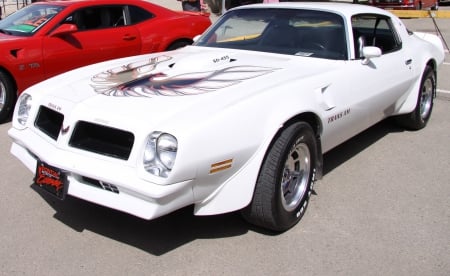 1974 Pontiac Trans Am SD 455 - tires, headlights, photography, White, Pontiac