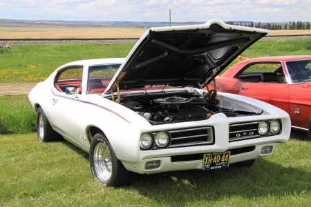 1969 Pontiac GTO - White, headlights, photography, Pontiac