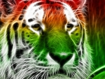 Tigris Of Colours