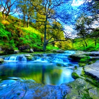 BEAUTIFUL PARK