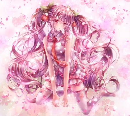 Sakura Miku - pretty, anime, vocaloid, female, cherry, blossom, hatsune miku, pink, long hair, pink eyes, hd, sakura miku, nice, pink hair, anime girl, sakura, twintails, hot, girl, lovely, sweet, flower, petals, miku, cute, hatsune, floral, sexy, vocaloids