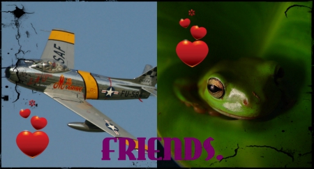 FOR DEAR FRANK. ''IMMORAL'' - FRIENDS, COLLAGE, PLANE, FROG