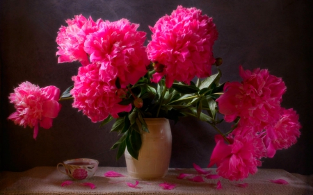 Still life - flowers, vase, still life, petals