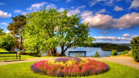 Place for rest - nice, sky, trees, bench, clouds, alleys, grass, garden, relax, lake, fresh, park, summer, shore, place, lovely, nature, beautiful, rest, flowers