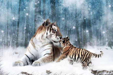 Tigers in Snow - winter, cub, artwork, mother, forest