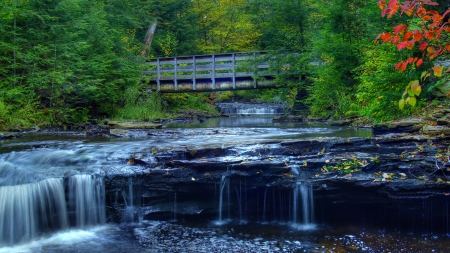 wooden bridge over rocky forest stream - stream, forest, steps, rocks, bridge