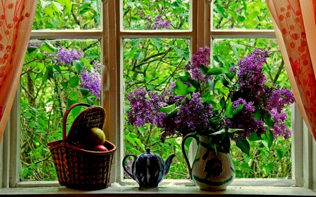 Window with Flowers - purple, window, beautiful, flowers, photo, vase