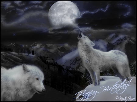 Moonlight Wolves - wolves, white, lone wolf, timber, lobo, wild animal black, majestic, wallpaper, quotes, nature, wolf, snow, canine, arctic, solitude, howling, howl, wolf pack, wolf wallpaper, wisdom beautiful, black, grey wolf, pack, spirit, grey, dog, mythical, canis lupus, winter, abstract, wolfrunning, friendship, the pack