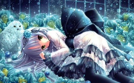 Vocaloid - cave, vocaloid, dress, flower, white hair, owl, cage, white, cute, bow