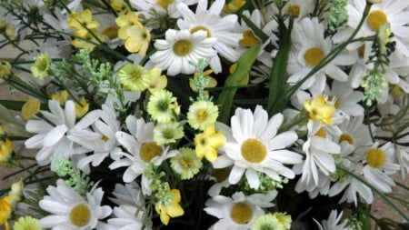 For Judy, love ya sis - white, yellow, stems, green, daisy