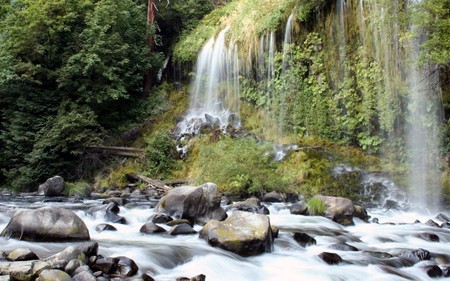 Moss brae falls - nature, waterfalls