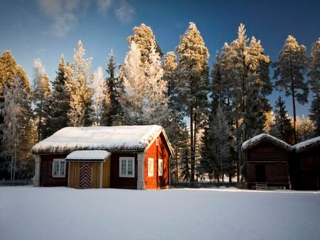 	A little red cosy cabin - trees, cabin, red, snow, little, cosy