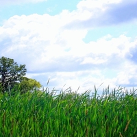 Summer sky widescreen