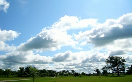 View from my yard widescreen - photograph, clouds, summer, sky